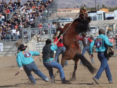 Rodeo photography